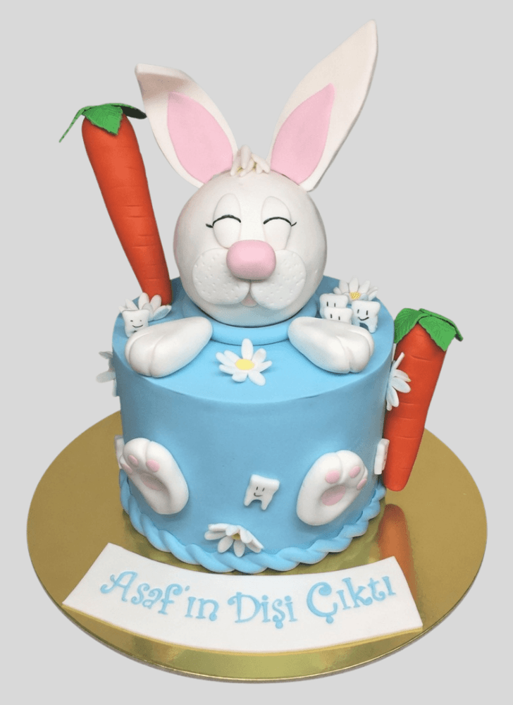 Fine Bunny Cake