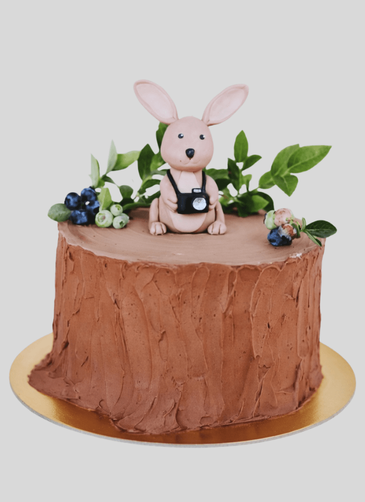 Handsome Bunny Cake