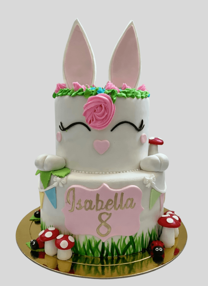 Magnetic Bunny Cake