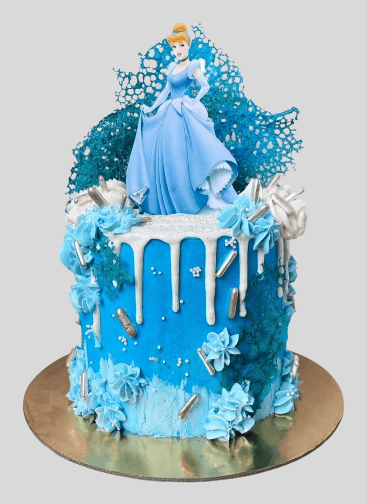 Fetching Cinderella Cake
