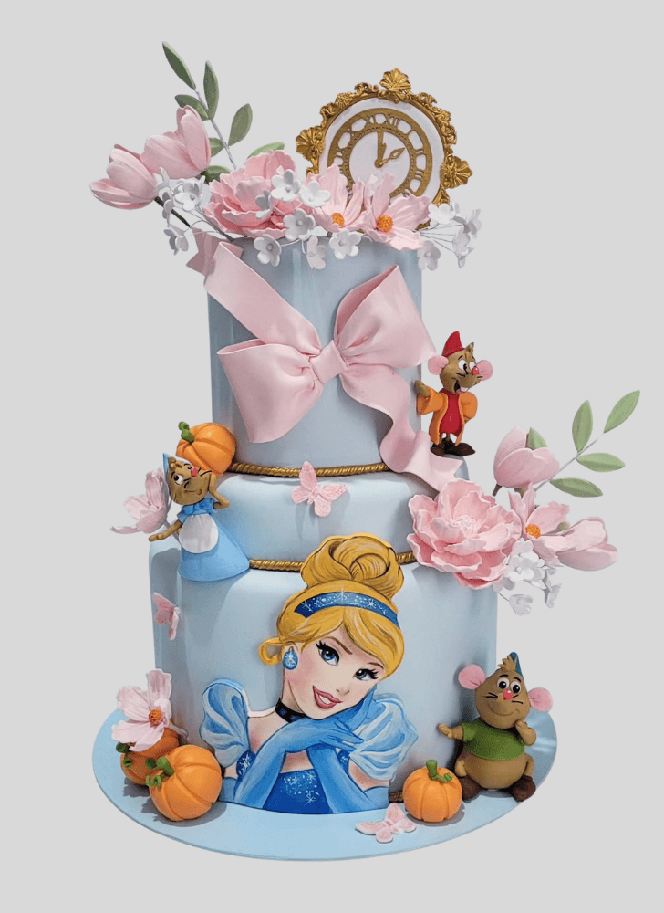 Magnetic Cinderella Cake