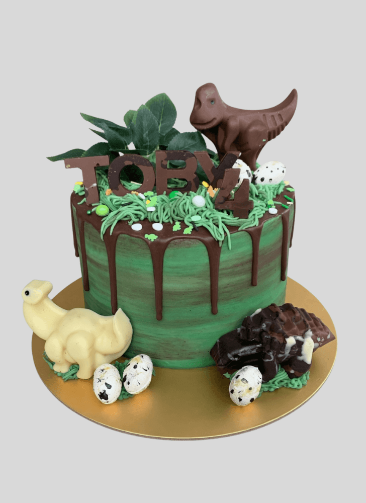 Fine Drip Cake