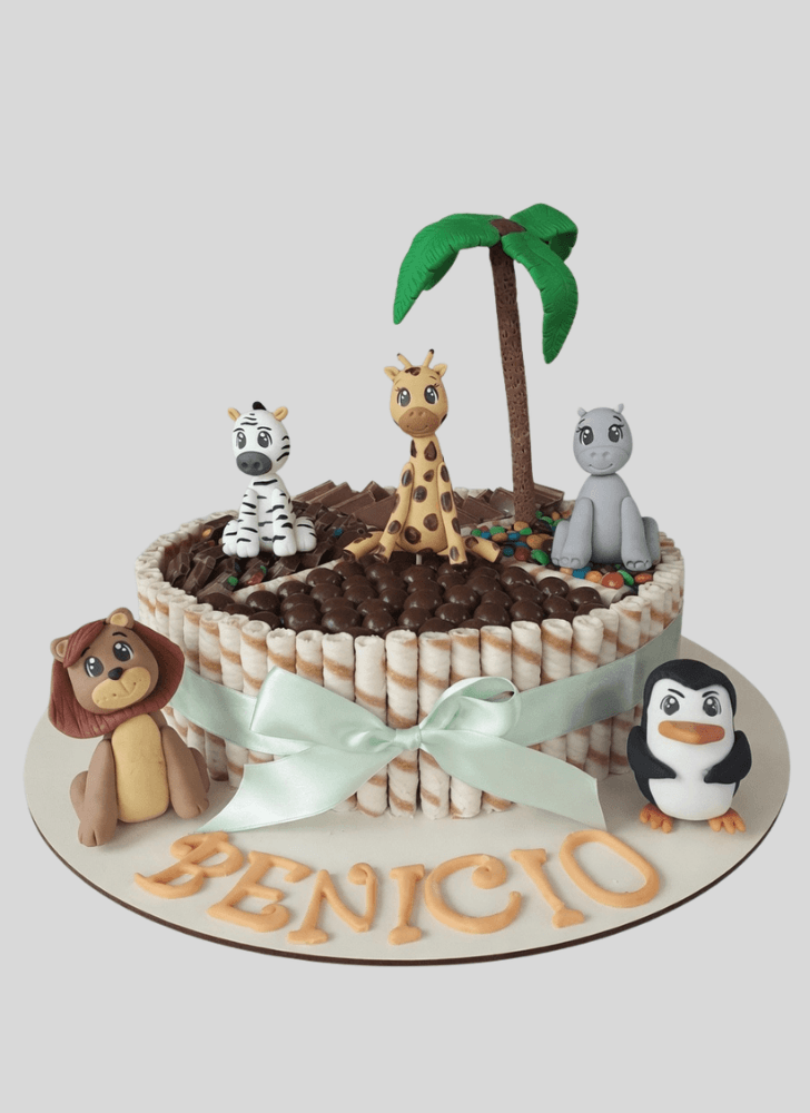 Classy Madagascar Cake