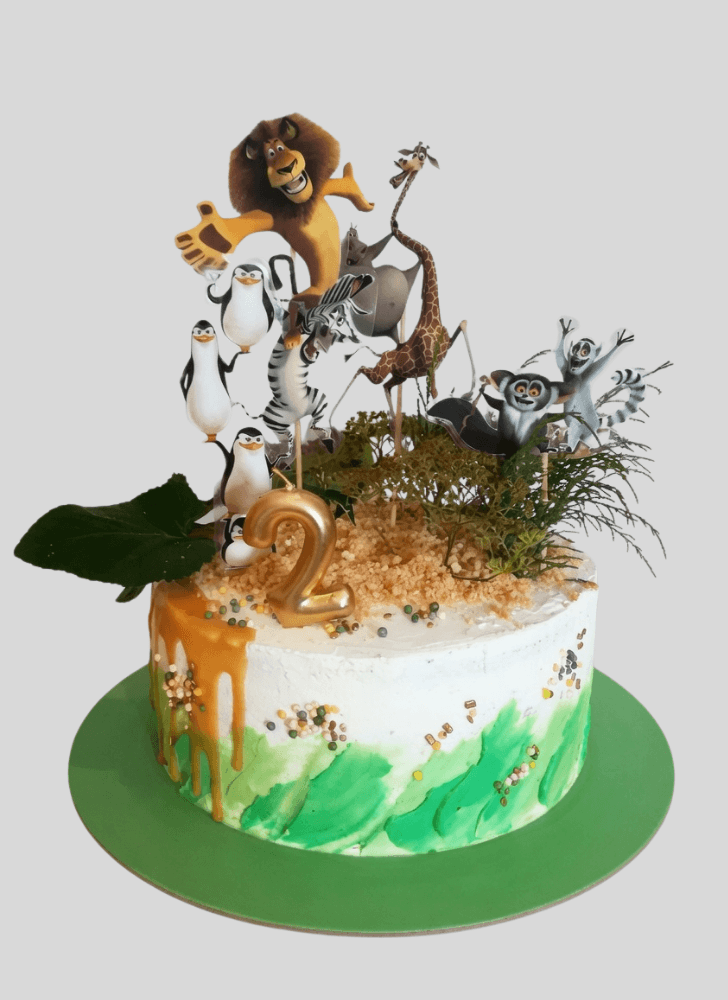 Dazzling Madagascar Cake