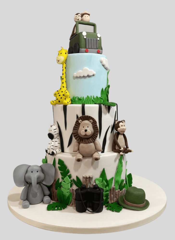 Gorgeous Madagascar Cake