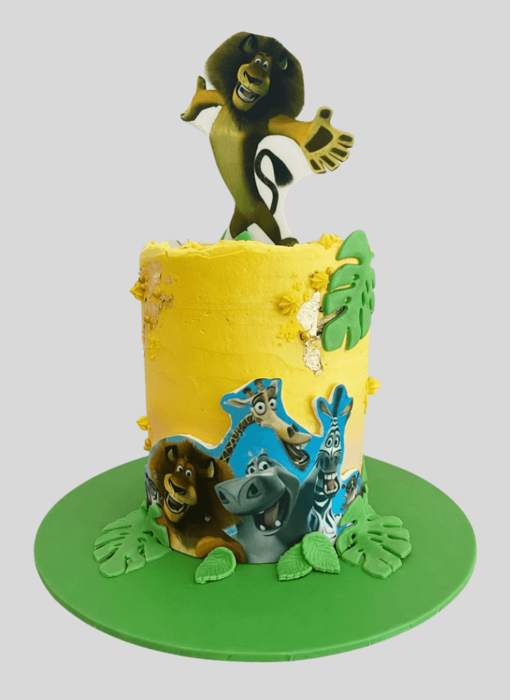 Radiant Madagascar Cake