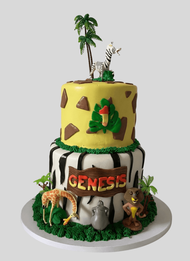 Stunning Madagascar Cake