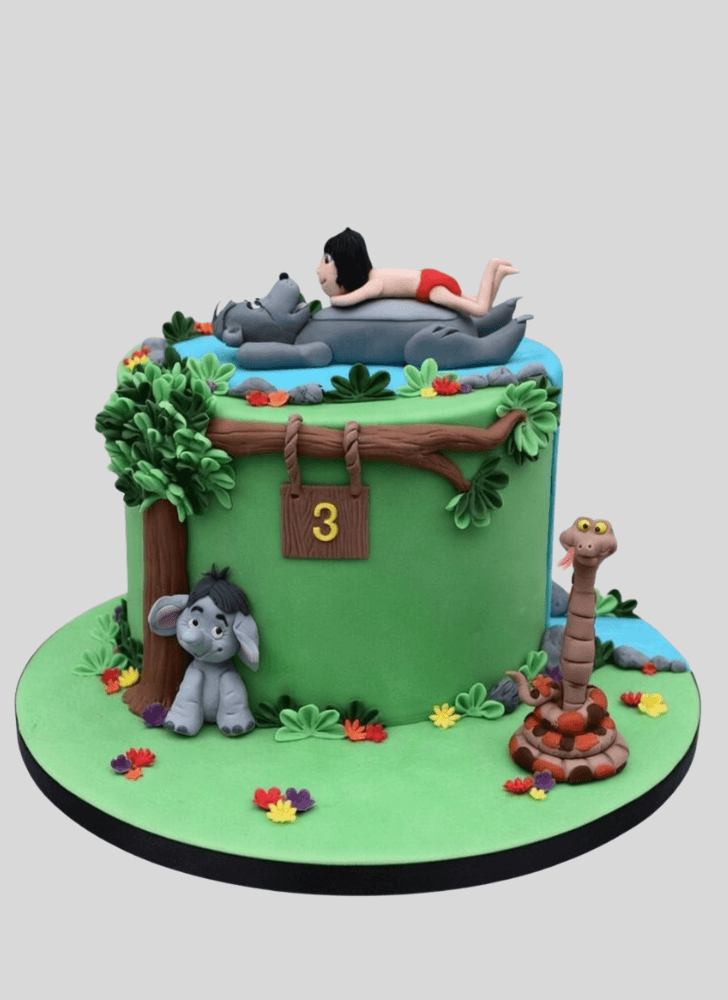 Magnetic Mowgli Cake