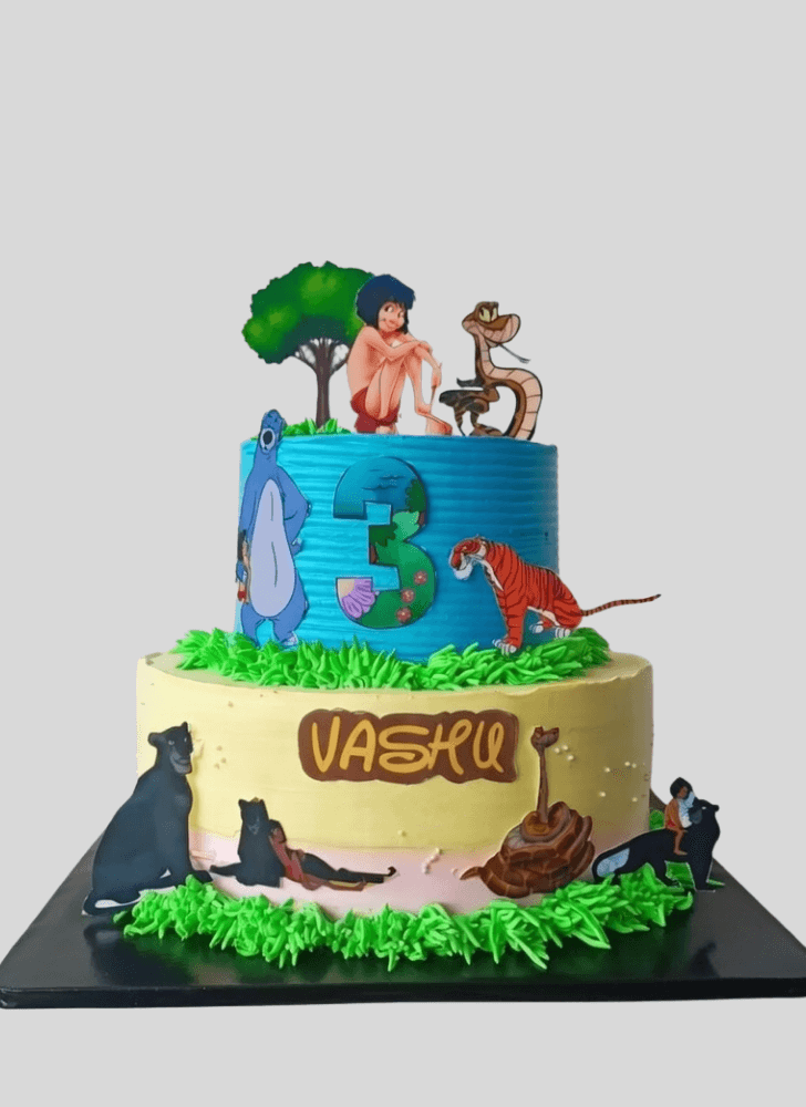 Nice Mowgli Cake