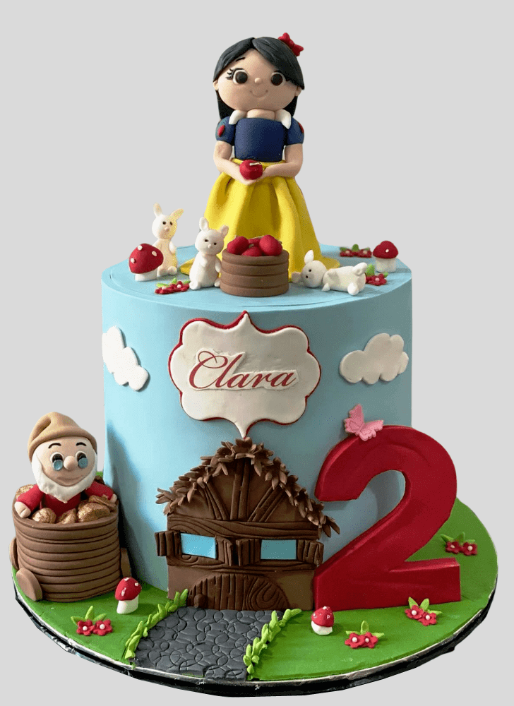 Handsome Snow White Cake