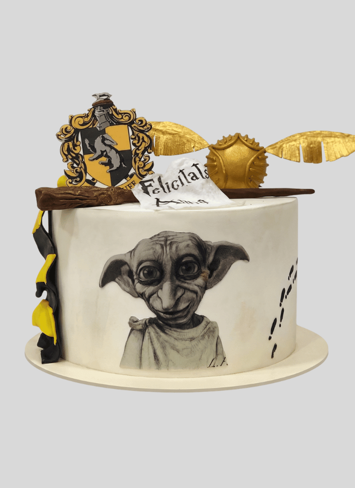 Admirable Dobby Cake Design