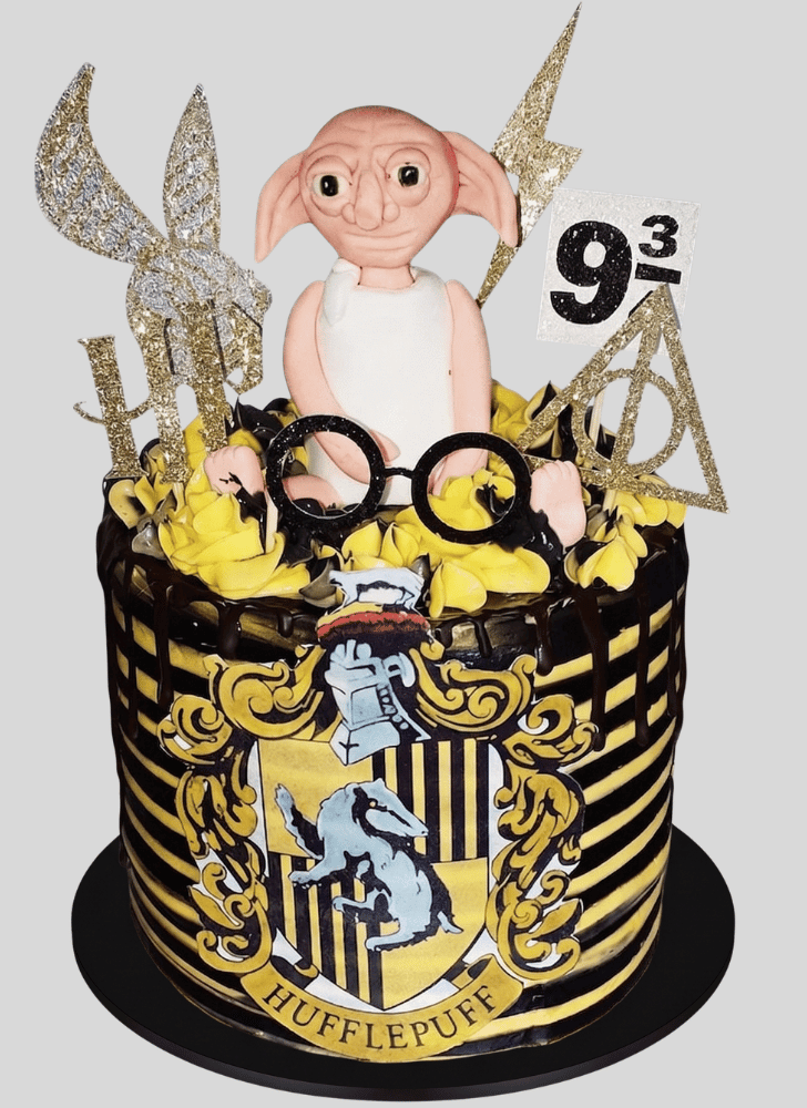 Bewitching Dobby Cake
