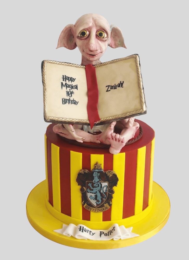 Fetching Dobby Cake