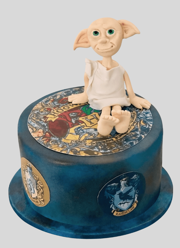 Magnetic Dobby Cake