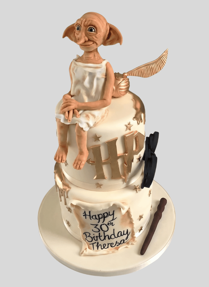 Magnificent Dobby Cake