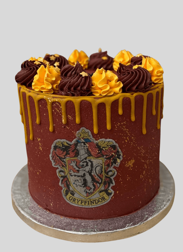 Enticing Gryffindor Cake