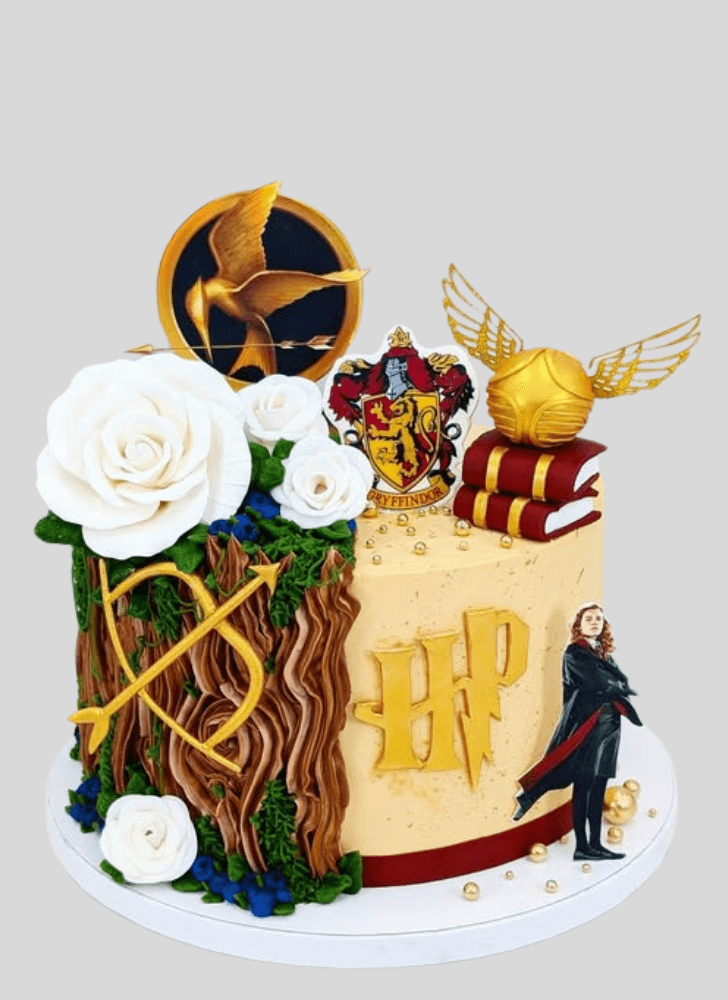 Handsome Gryffindor Cake