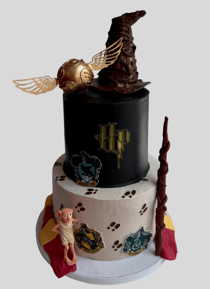 Admirable Harry Potter Cake Design