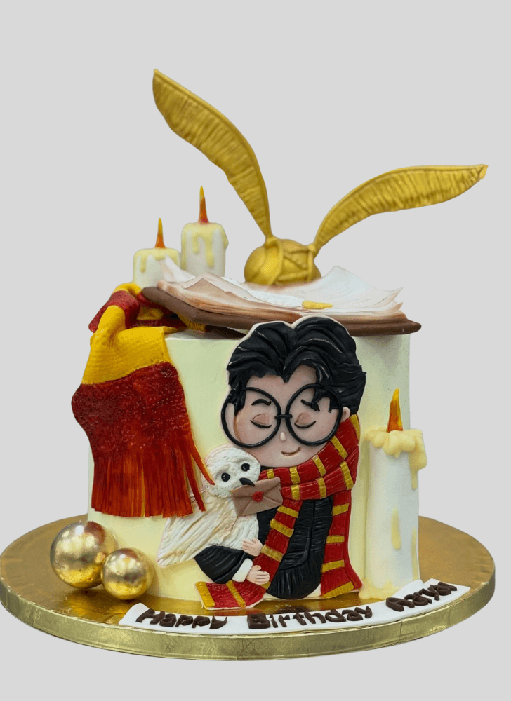 Appealing Harry Potter Cake