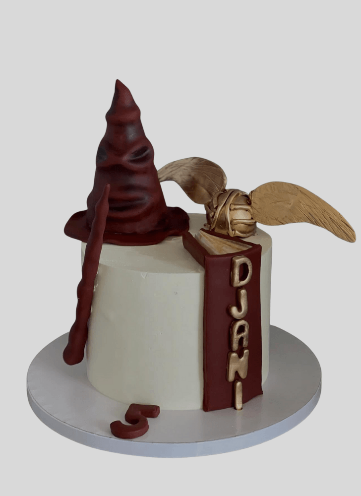 Beauteous Harry Potter Cake