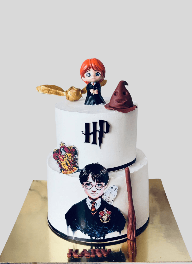 Charming Harry Potter Cake