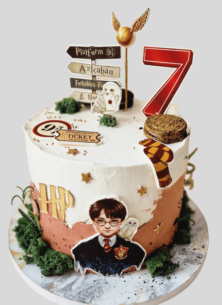 Comely Harry Potter Cake