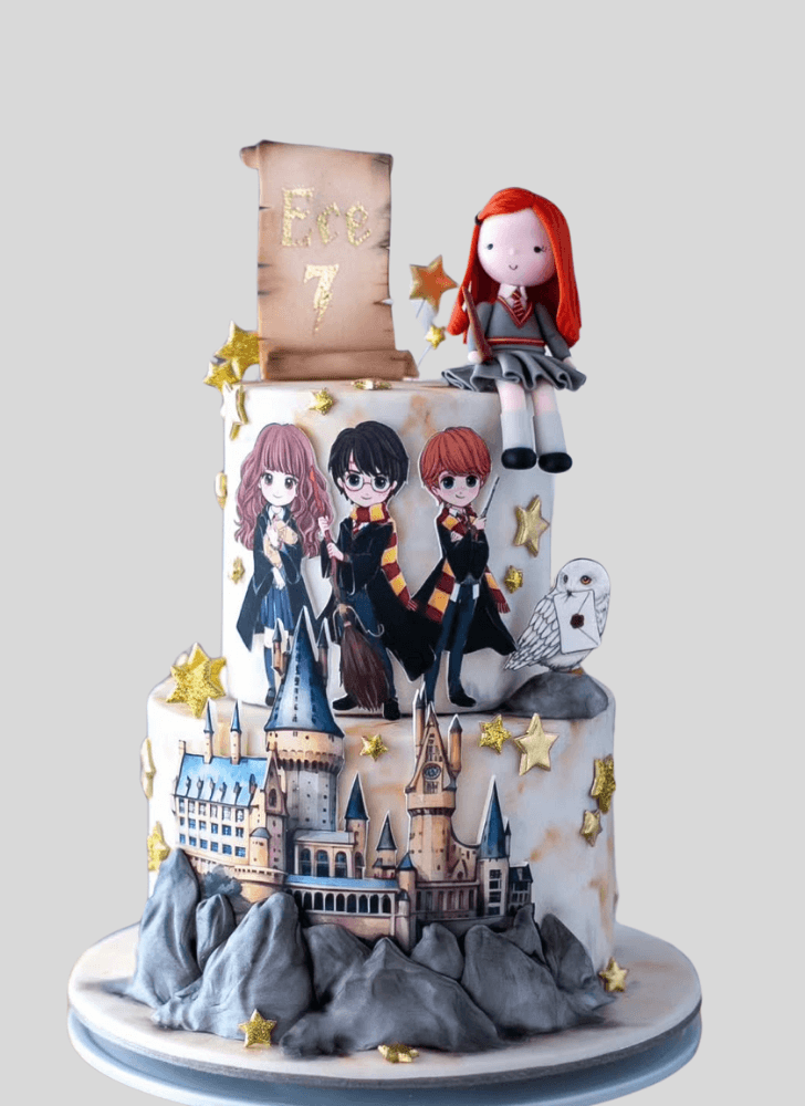 Cute Harry Potter Cake