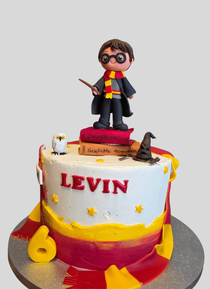 Dazzling Harry Potter Cake