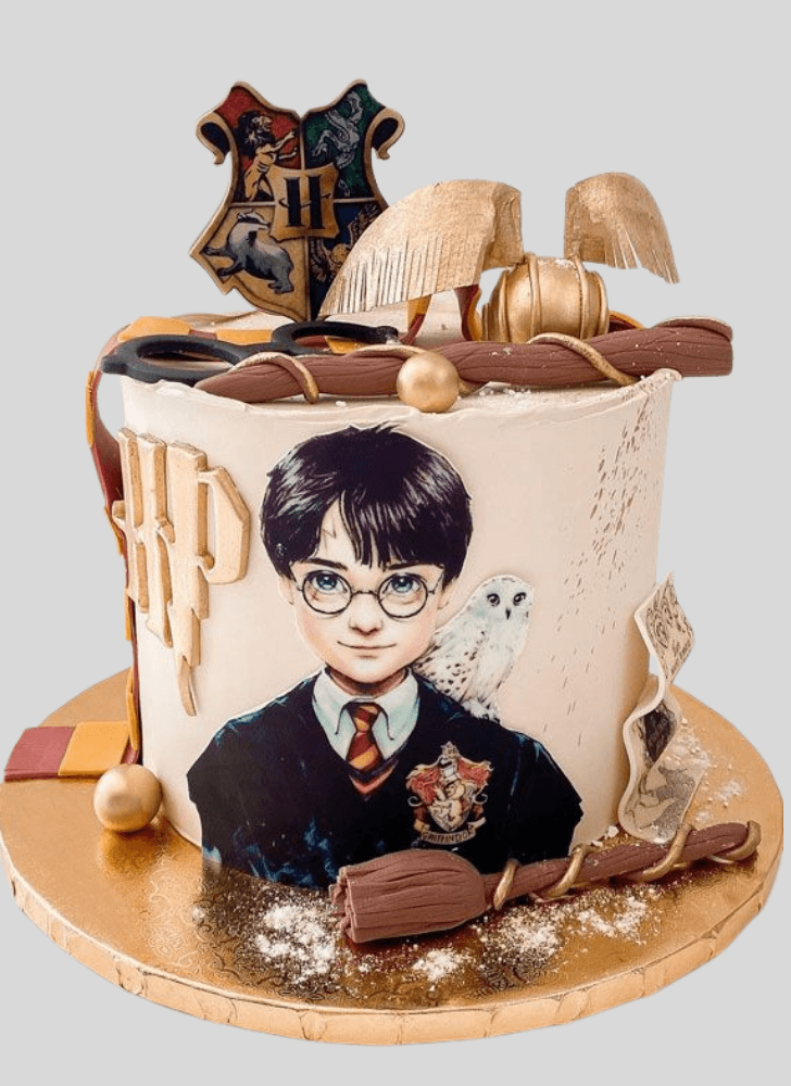 Enticing Harry Potter Cake