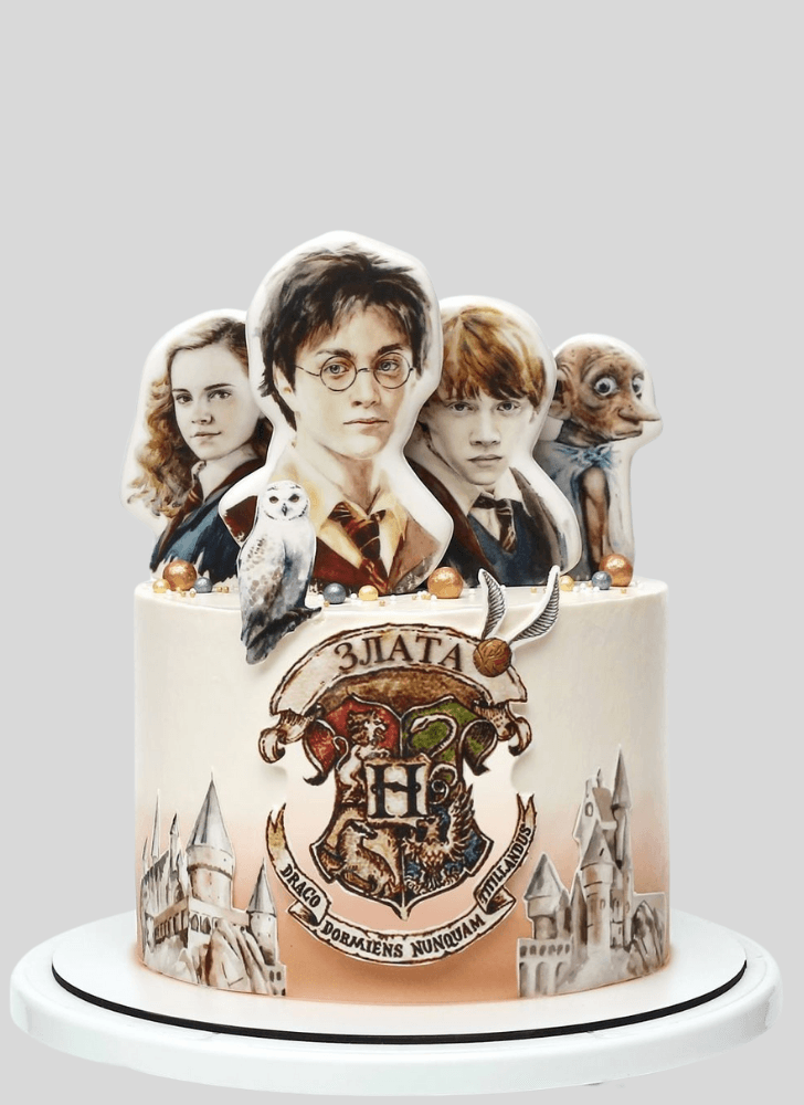 Exquisite Harry Potter Cake