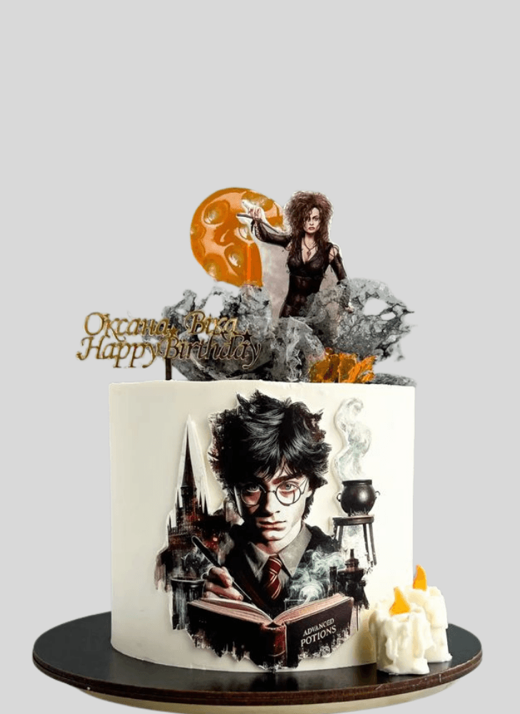 Fair Harry Potter Cake