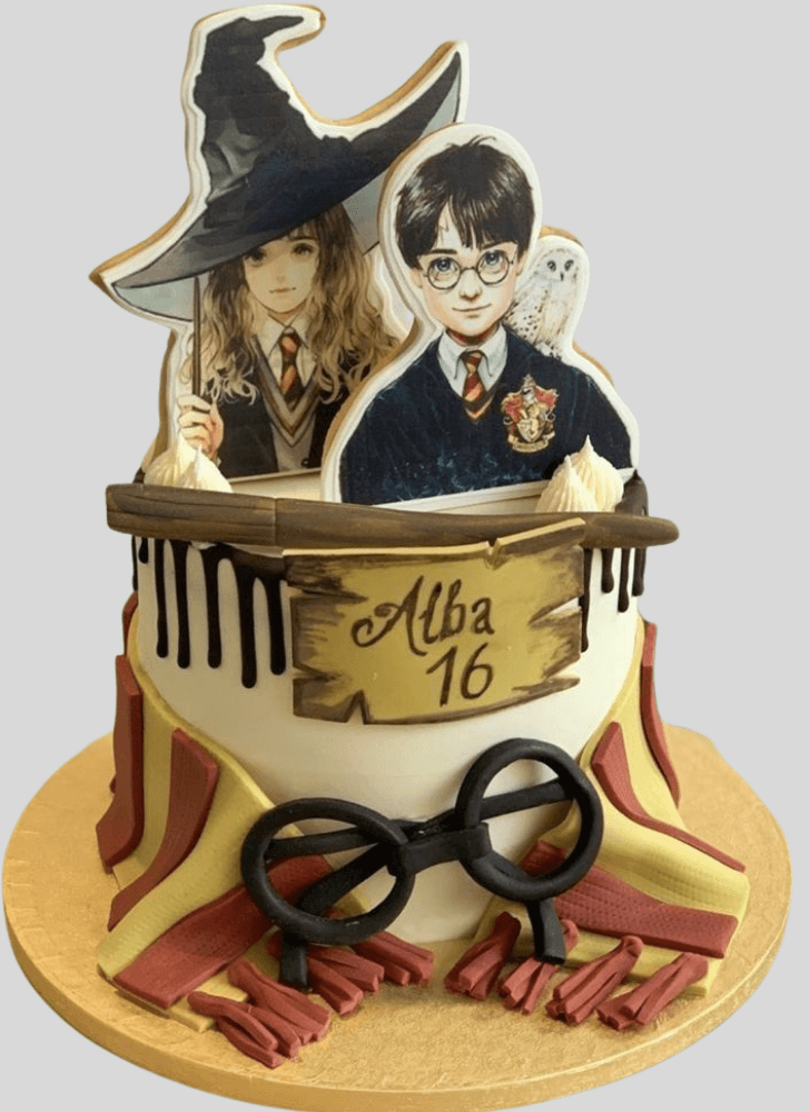 Fetching Harry Potter Cake