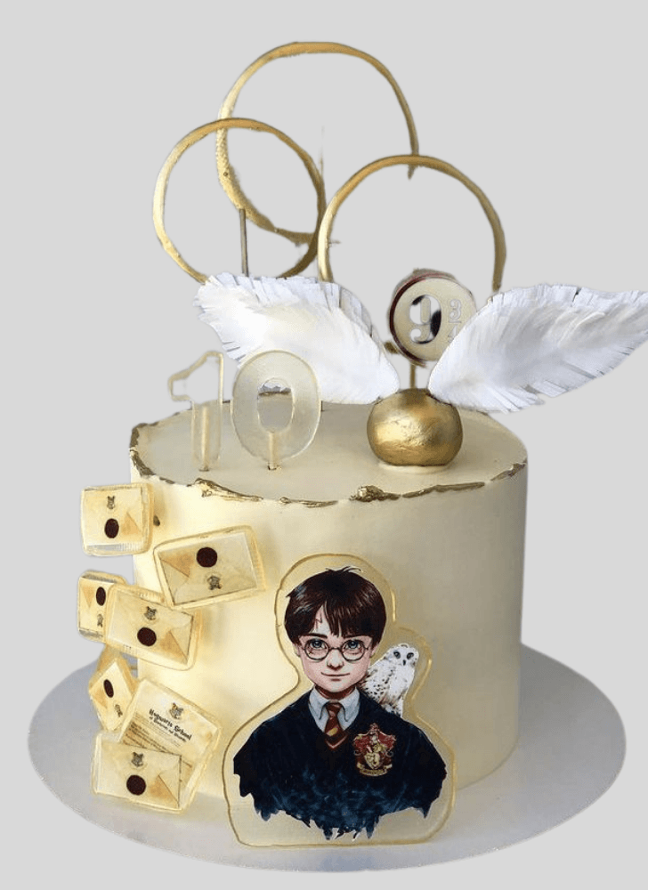 Fine Harry Potter Cake