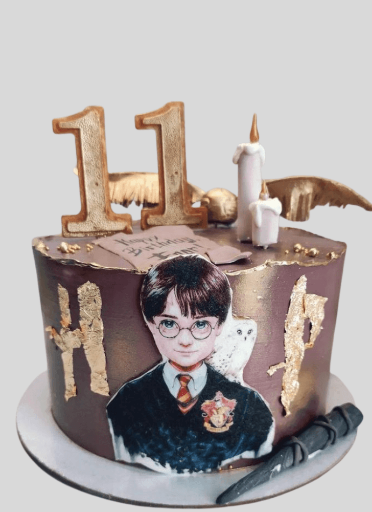 Good Looking Harry Potter Cake