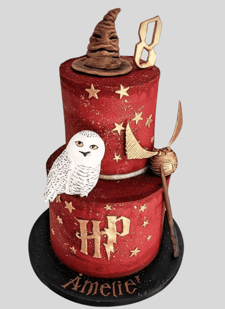 Gorgeous Harry Potter Cake