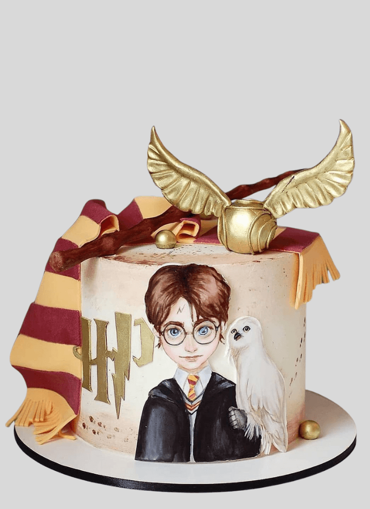 Graceful Harry Potter Cake