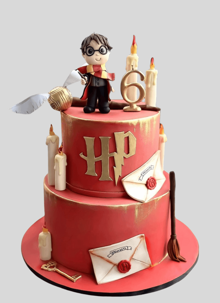 Handsome Harry Potter Cake