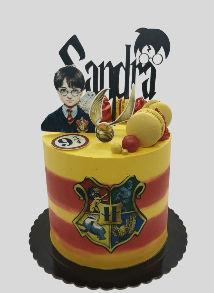 Ideal Harry Potter Cake
