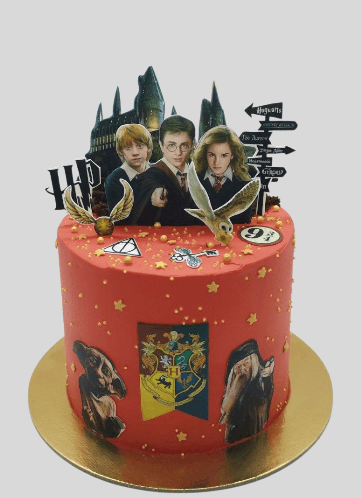 Inviting Harry Potter Cake
