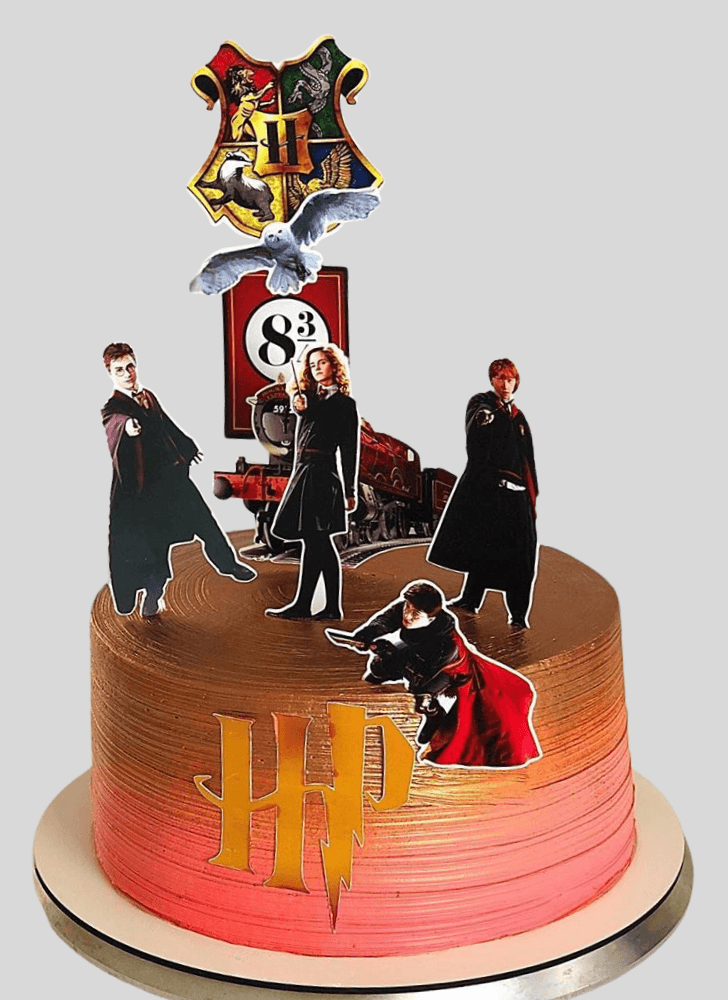 Magnetic Harry Potter Cake