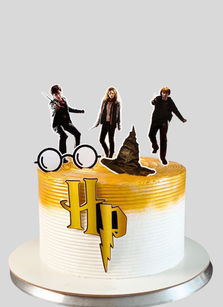 Magnificent Harry Potter Cake
