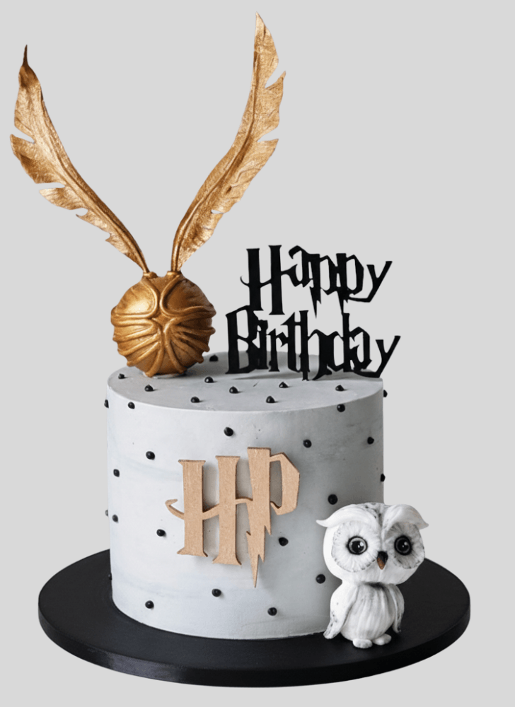 Nice Harry Potter Cake