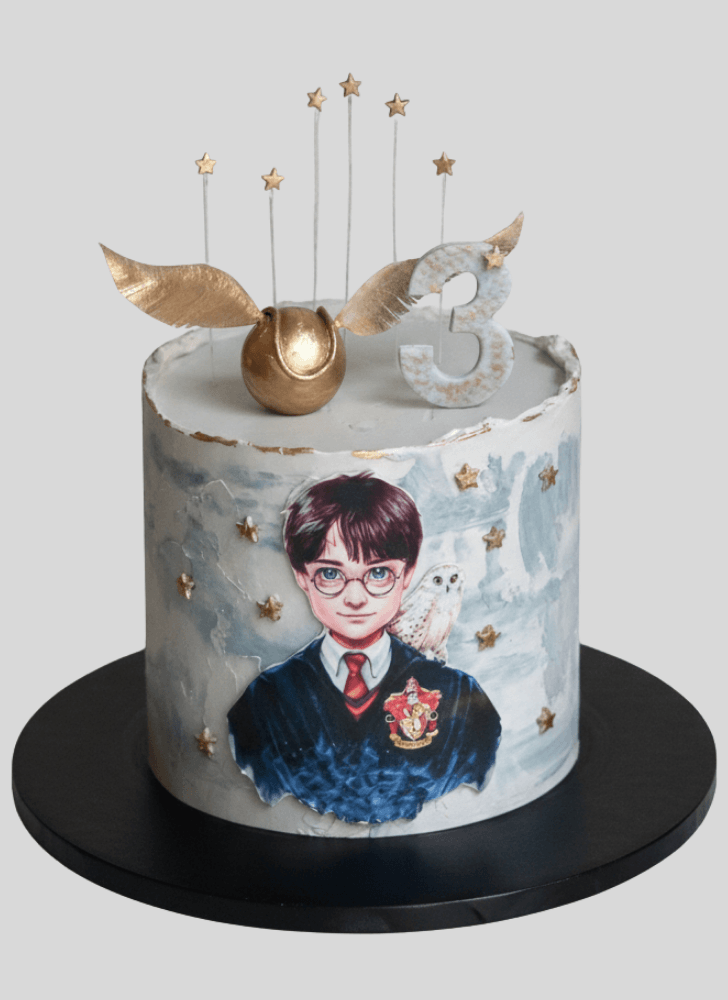 Pretty Harry Potter Cake