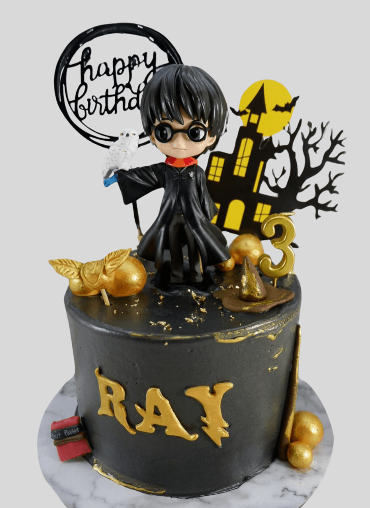 Refined Harry Potter Cake