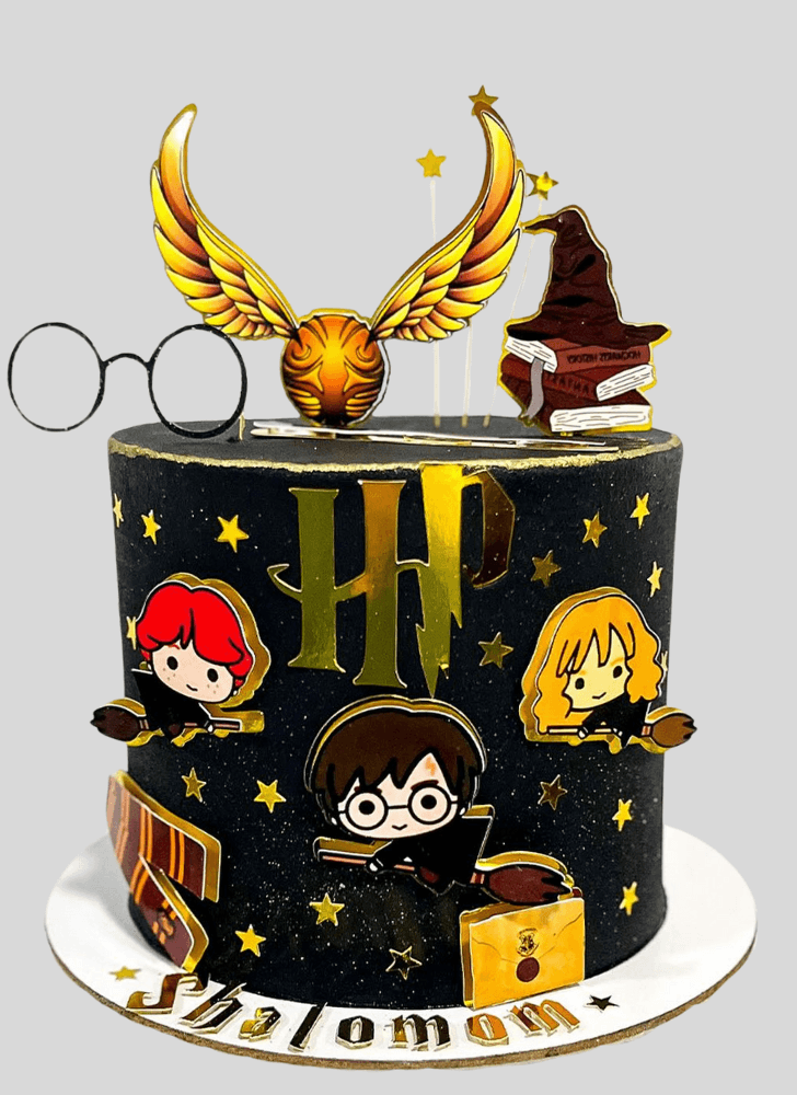Resplendent Harry Potter Cake