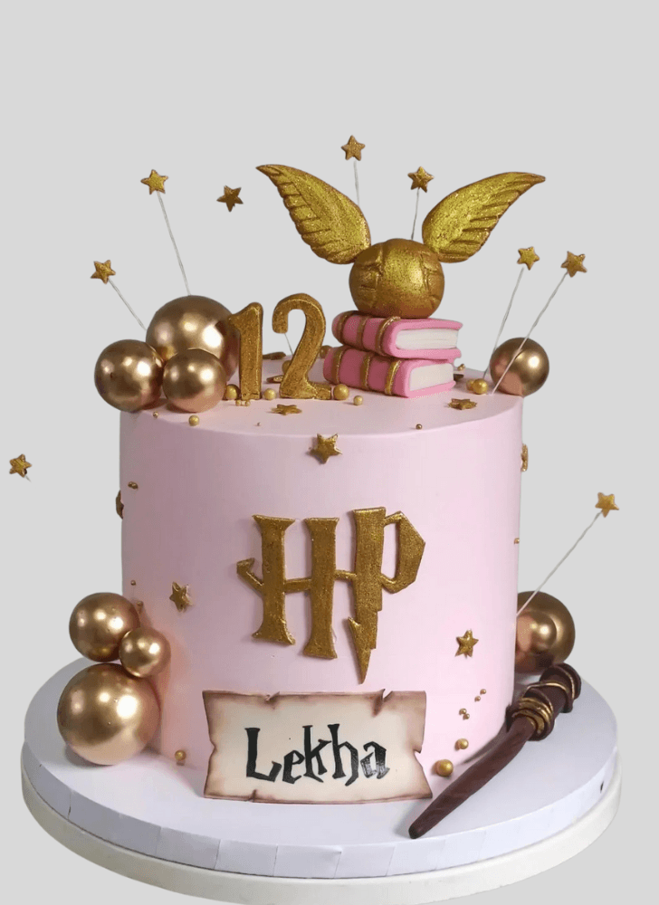 Shapely Harry Potter Cake