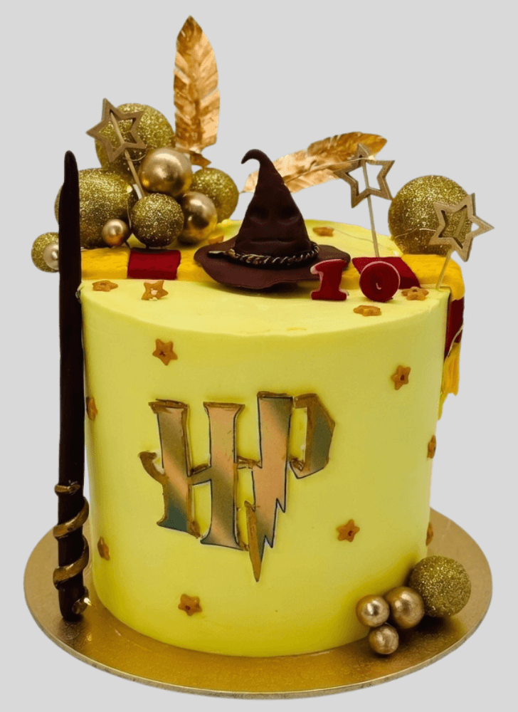 Slightly Harry Potter Cake