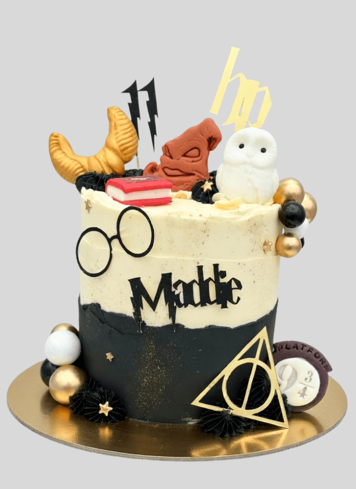 Splendid Harry Potter Cake