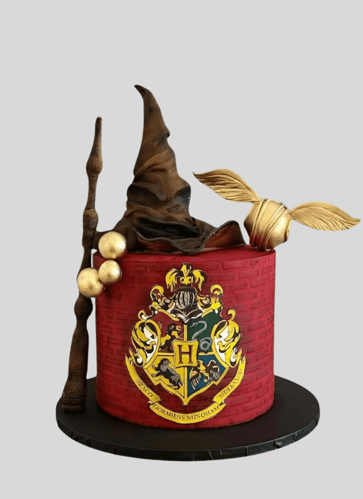 Appealing Hogwarts Cake