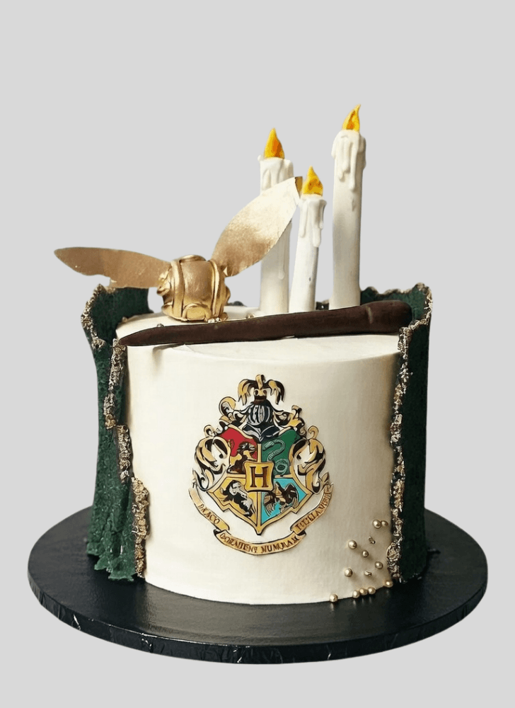 Charming Hogwarts Cake